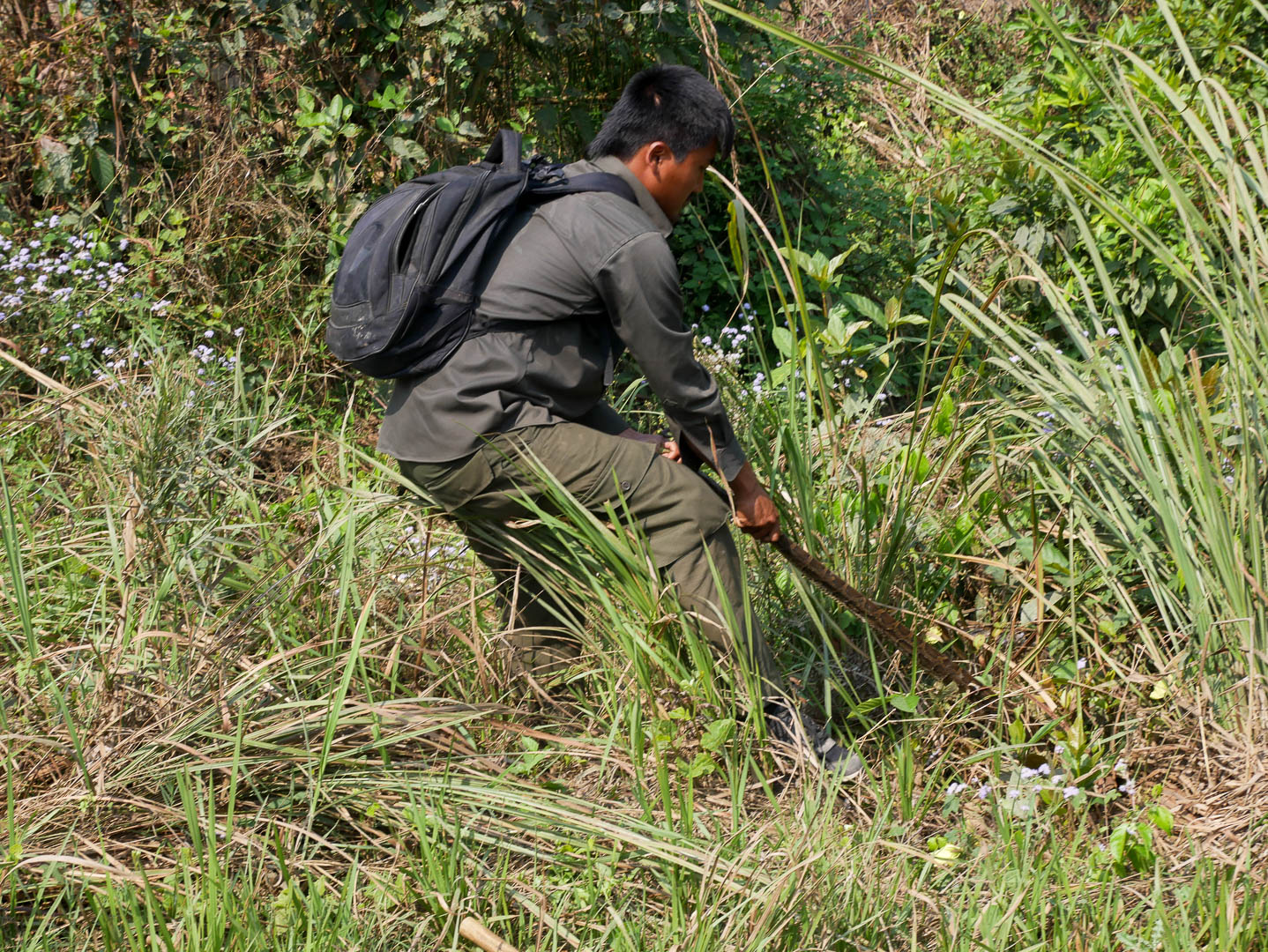 Chitwan--14-sur-28-