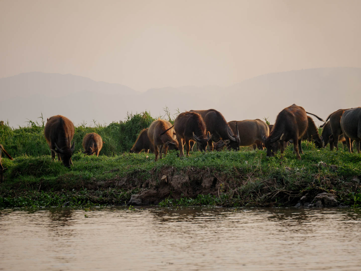 Inle--2-sur-29-