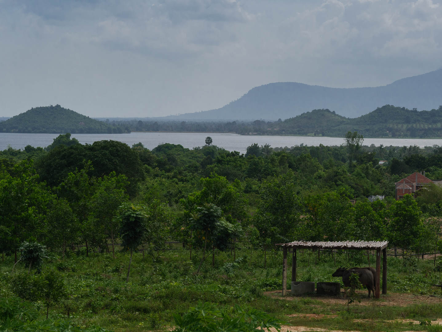 Kampot--10-sur-24-