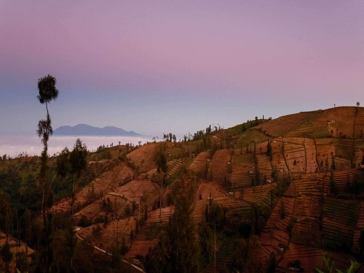 Bromo--1-sur-13-