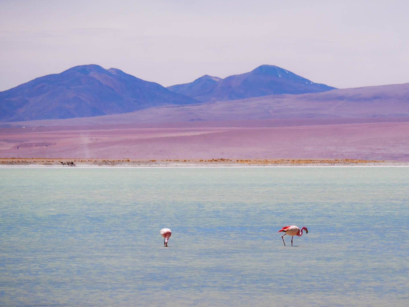 Uyuni--18-sur-44-