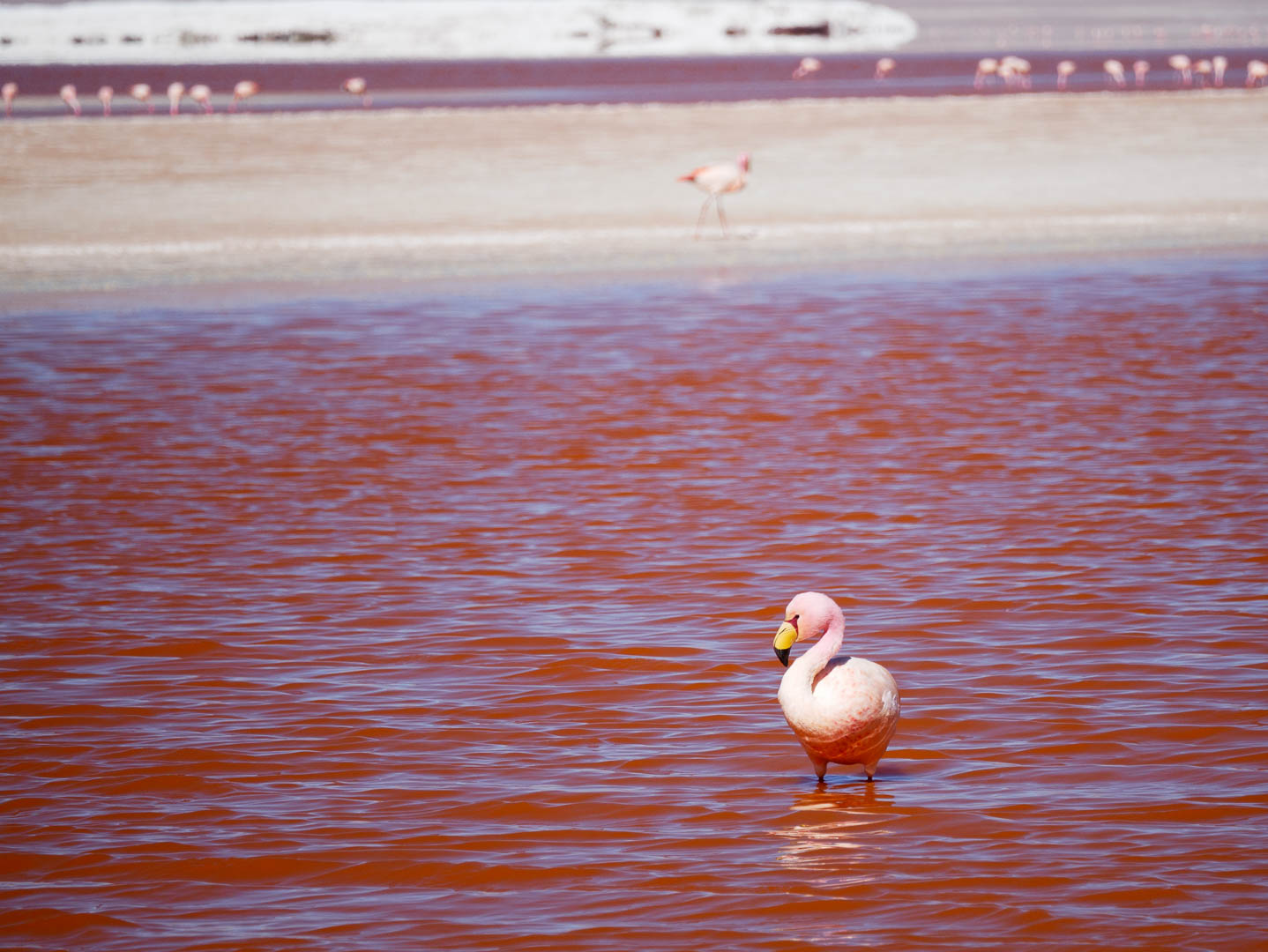 Uyuni--24-sur-44-