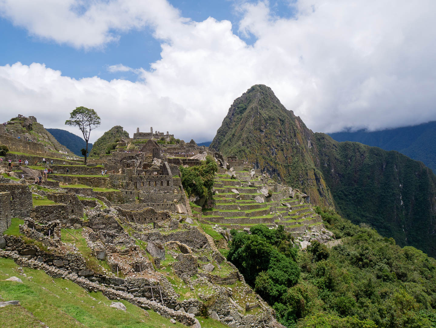 MachuPichu--10-sur-12-