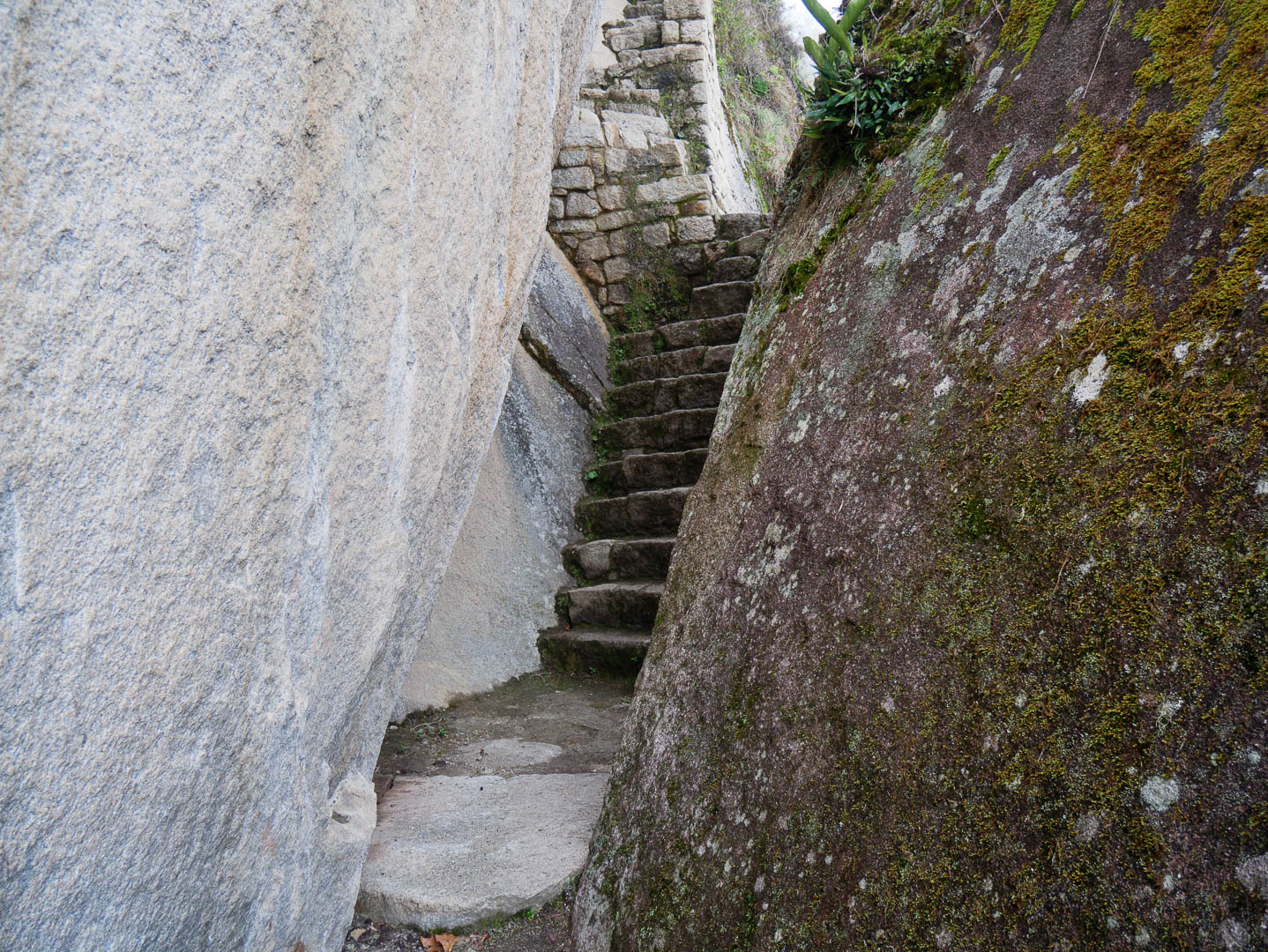 MachuPichu--3-sur-12-