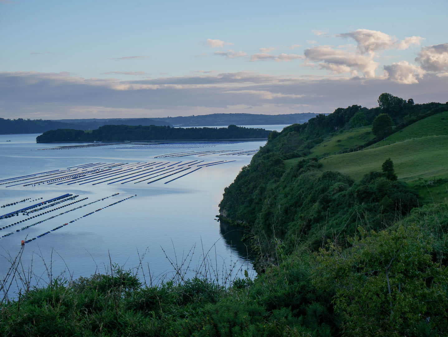 Chiloe--18-sur-24-