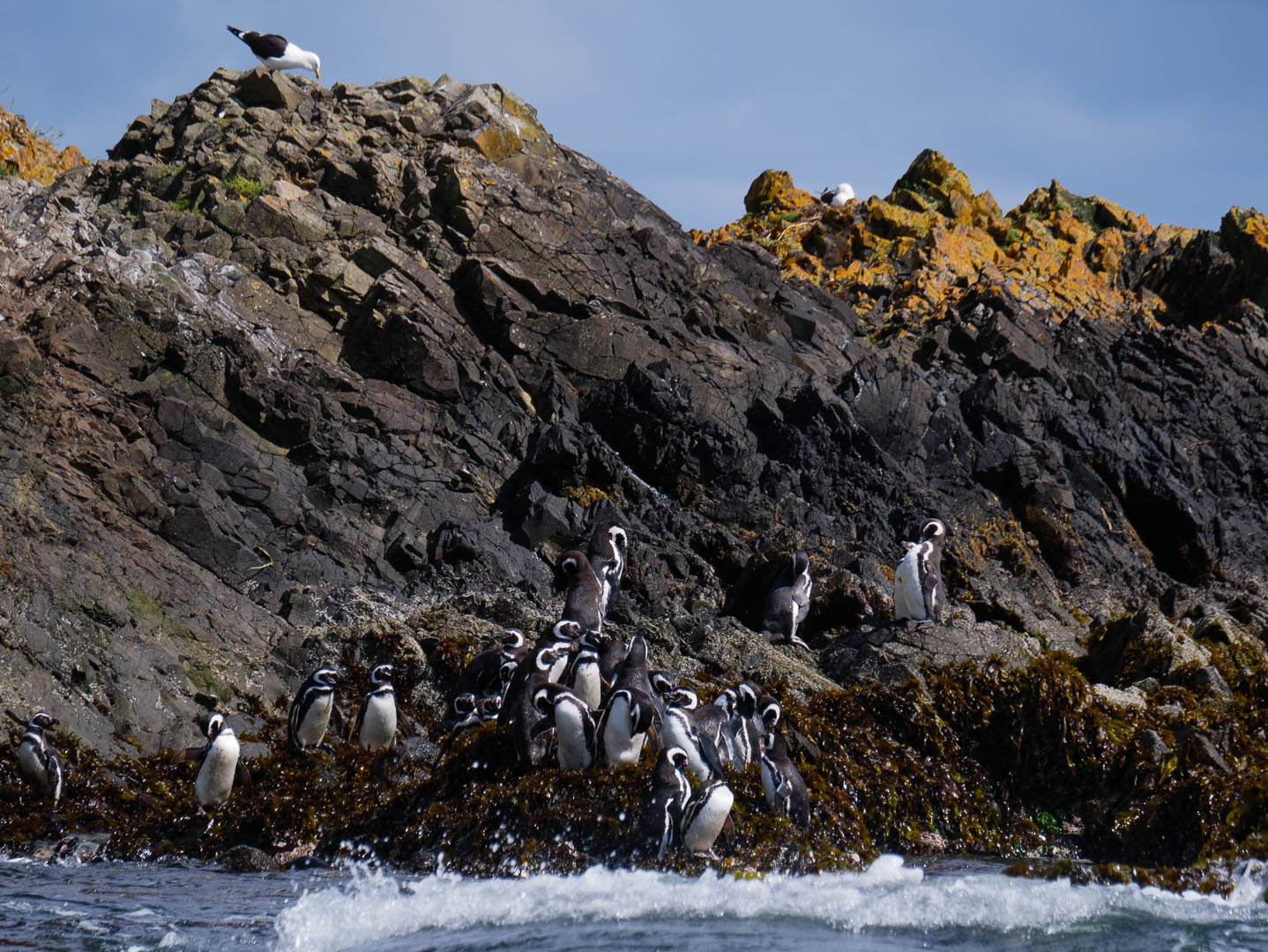 Chiloe--4-sur-24-