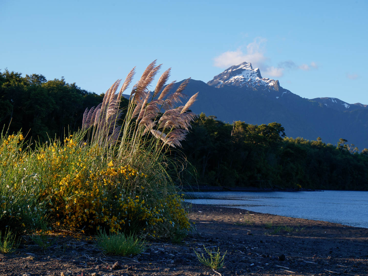 Osorno--12-sur-17-