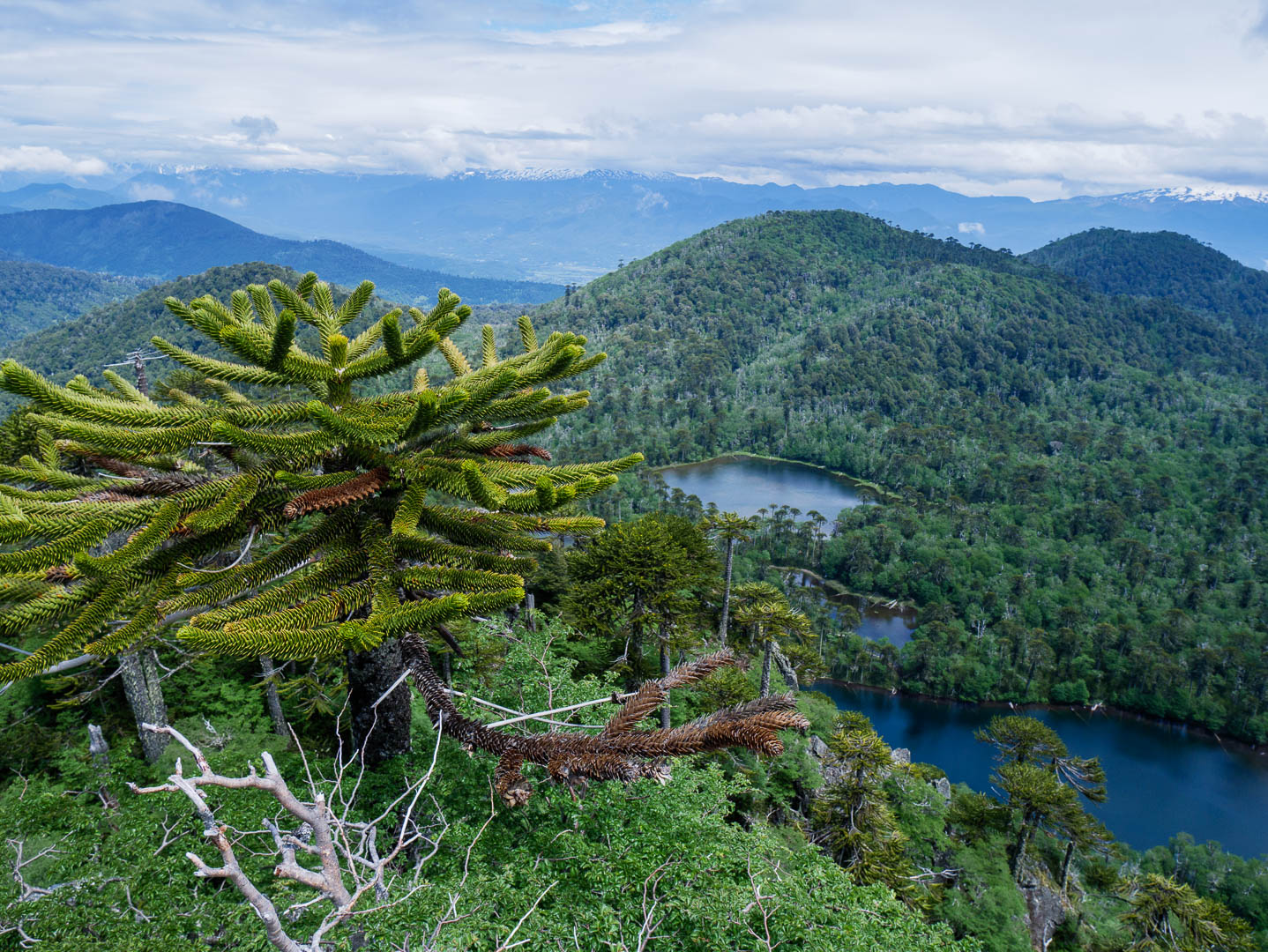 De la mer à la montagne, de Concepcion à Pucon