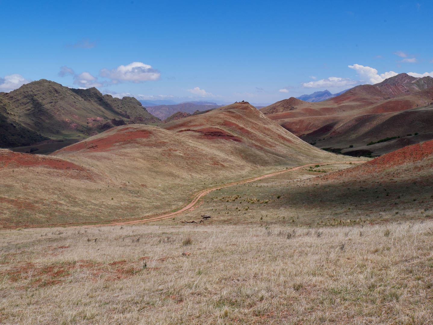 Le nord Ouest Argentin : Salta et sa région